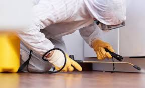 Best Residential Pest Control  in Hope, AR